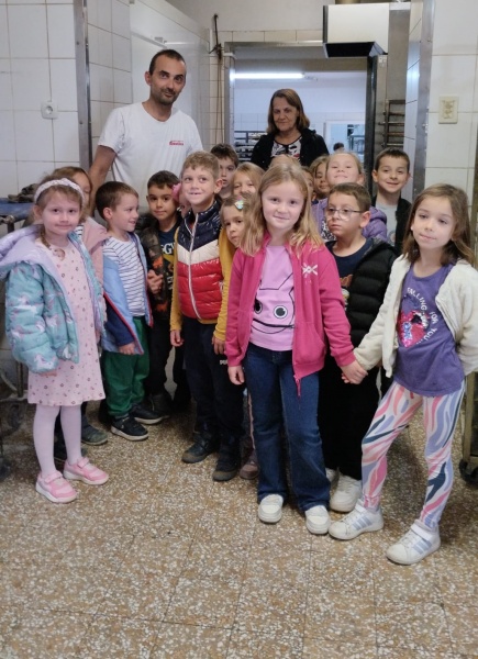  Leptirići i Bumblebees u posjetu pekari - slika broj: 2